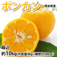 ポンカン 10kg 訳あり 送料無料 箱込 (内容量9kg+不良果補償分500g) 無選別 みかん 熊本県産 デコポン 蜜柑