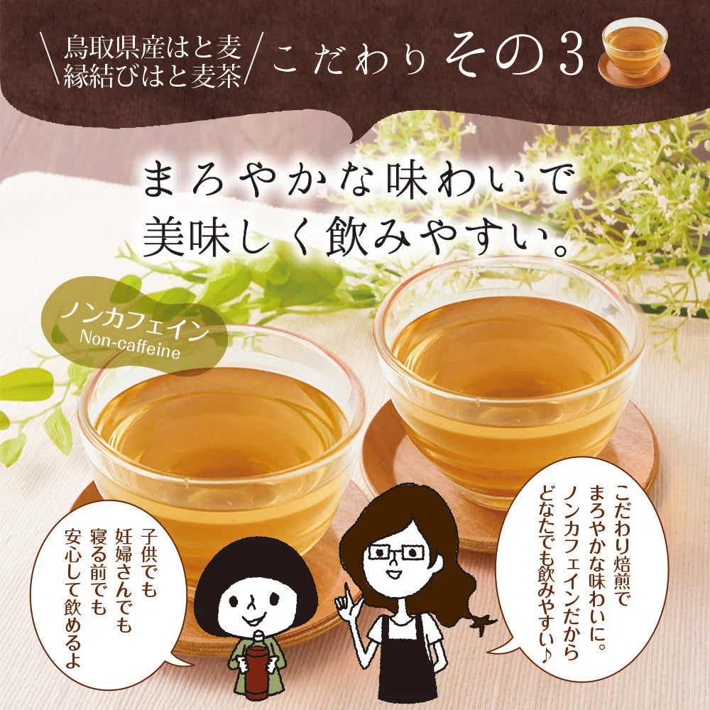 日本橋いなば園 はとむぎ茶ティーバッグ 60包 ネコポス メール便送料無料