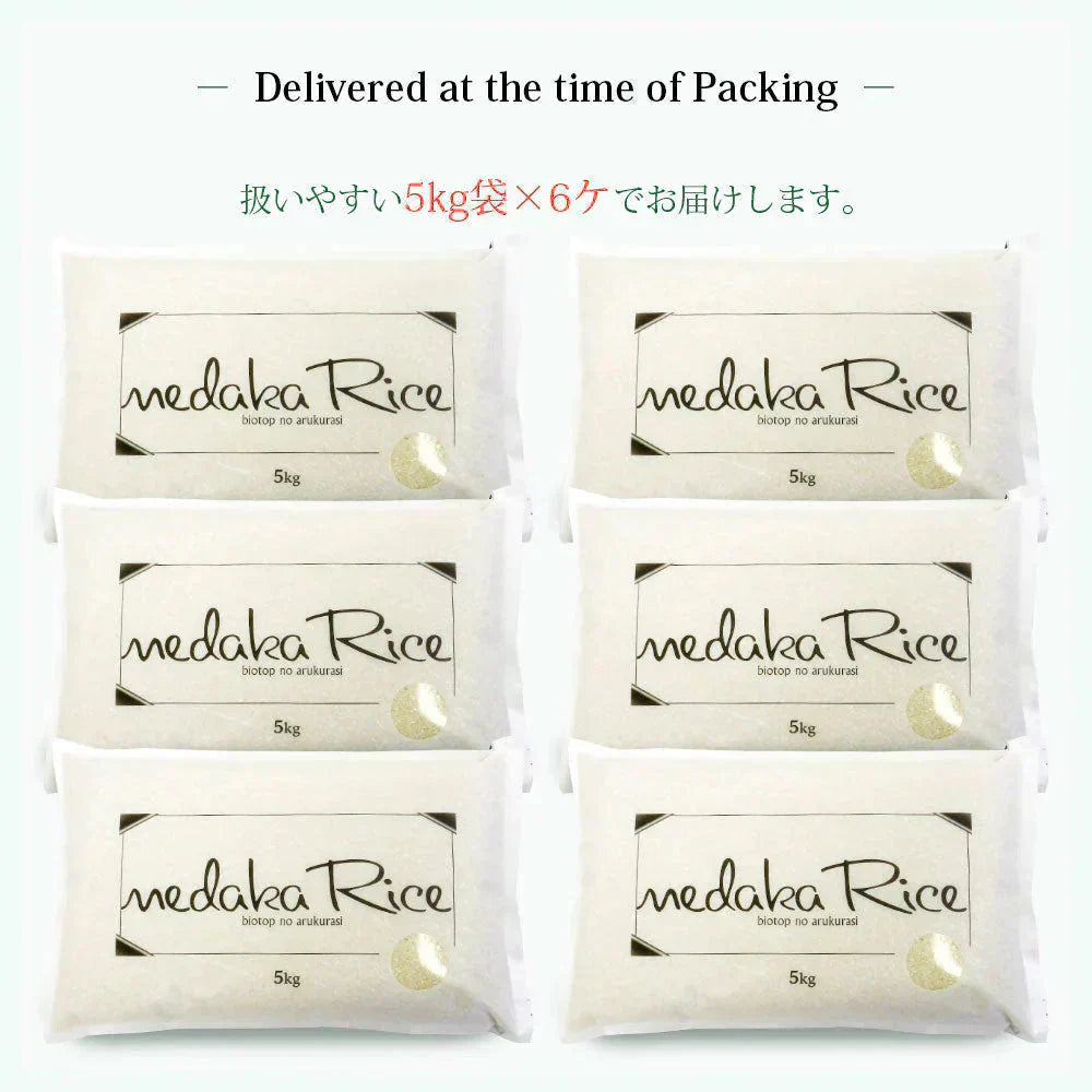 【メダカが泳ぐキレイな田んぼで育ったお米】 めだか米 はえぬき 無洗米 30kg (5kg×6袋) 山形県産 令和7年産 送料無料 米 30キロ こめ コメ お米 精米 新米 お米30kg はえぬき30kg はえぬき30キロ