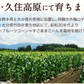 【TVで紹介】とうもろこし 卯野農場 すごあまこーん 12本入り 【3L~Lサイズ / 約3.6kg-4.8kg前後】  朝採り スイートコーン 《7-14営業日以内に発送予定（土日祝除く）》
