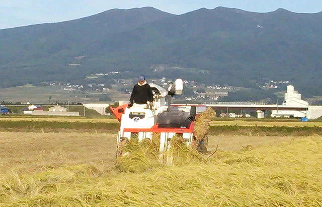令和7年産あいづ米　コシヒカリ玄米10kg　送料無料！