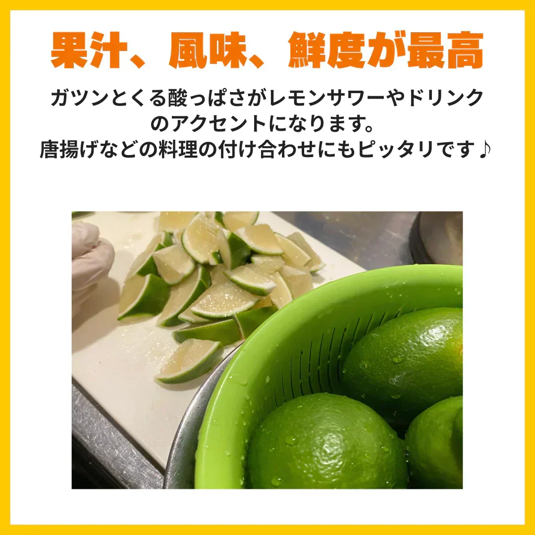 予約販売【防腐剤・防かび剤不使用・皮まで使える】国産グリーンレモン　愛媛県産　4kg 32～40球前後