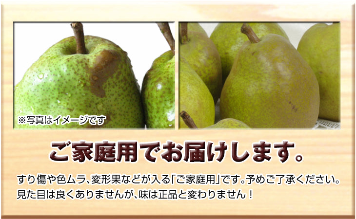 洋梨 ラ・フランス 5kg 山形産 フルーティーに香り立つ とろける甘さ ラフランス （発送予定:10月下旬より）
