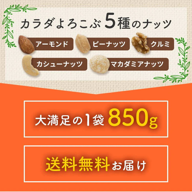【カートアップNG】【訳あり】【賞味期限2023/5/28】5種のミックナッツ 850g 有塩【エコ得】
