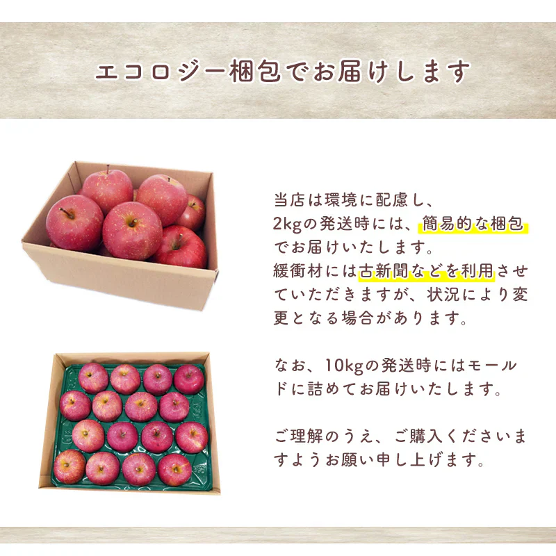 【ご予約順に発送中！】 ＼岩渕さんちの／ 青森県産 訳あり サンふじ ご家庭用 約10kg 林檎 りんご リンゴ 訳アリ 家庭用 青森 青森産 ふじ