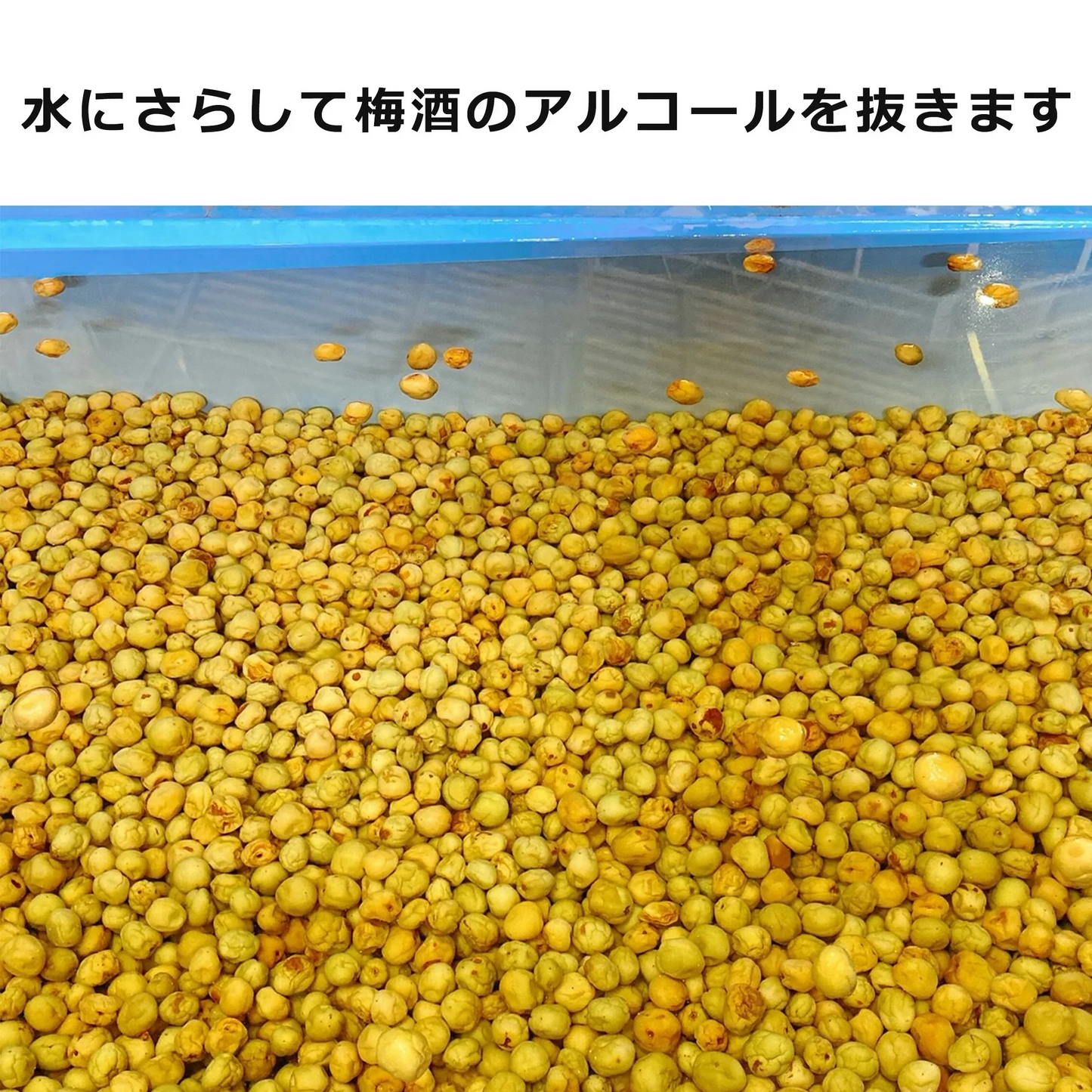 1.5kｇつぶれ梅（はちみつ入）500ｇ×3袋セット【エコ得】