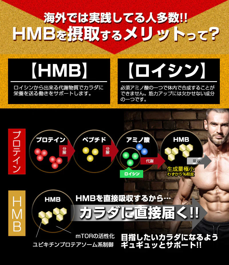 HMB トップギアプロ (HMB TOPGIA PRO) マッスルパワーを強力サポート! 筋肉 強力サポート 筋トレ マッスルパワー 中年太り 運動不足 プロテイン ダイエット 男性 筋トレ サプリメント シトルリン　アルギニン クレアチン カルニチン 亜鉛 マカ HMB スッポン マムシ BCAA 馬睾丸 日本  気力 活力 男力 バルクアップ 太く強く 最強のボディー
