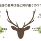 北海道　えぞ鹿角　Mサイズ　1本　ペット　歯石　口臭　ストレス解消　おもちゃ　お留守番　しか　ツノ