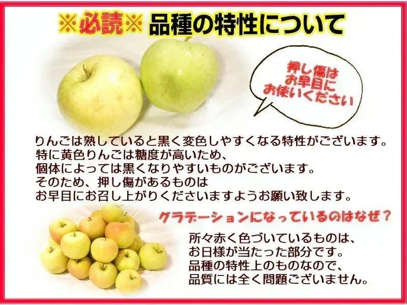 即日発送！青森県産 りんご トキ 10kg箱 家庭用/訳あり ★トキ 家訳 10kg箱