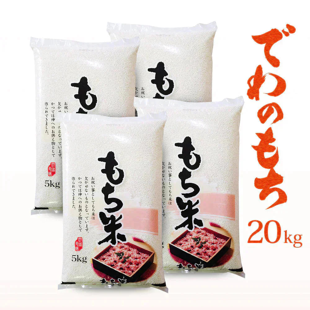 もち米 20kg 山形県産 でわのもち 令和7年産 餅米 国内産 新米 20キロ
