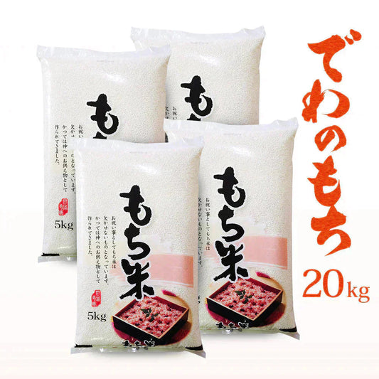 もち米 20kg 山形県産 でわのもち 令和7年産 餅米 国内産 新米 20キロ