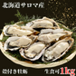 【最安値挑戦】北海道産殻付き牡蛎１Kg