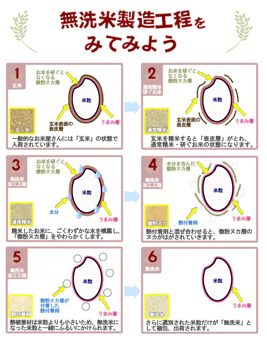 【令和6年産】送料無料 無洗米 5kg 大分玖珠・九重の棚田米 九州産 5kg×1