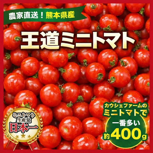 【10営業日以内に発送】たっぷり約400g！（最低380g以上保証）王道ミニトマト 農家直送 日本一の熊本県産（230g～250g＋保証分150g）野菜 青果 フルーツ 訳あり【カウシェファーム収穫対象商品】