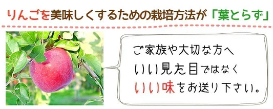 青森県産 訳あり 葉とらず ふじ りんご 5kg(約14～18個)※11月下旬よりご予約順に発送【指定日不可】