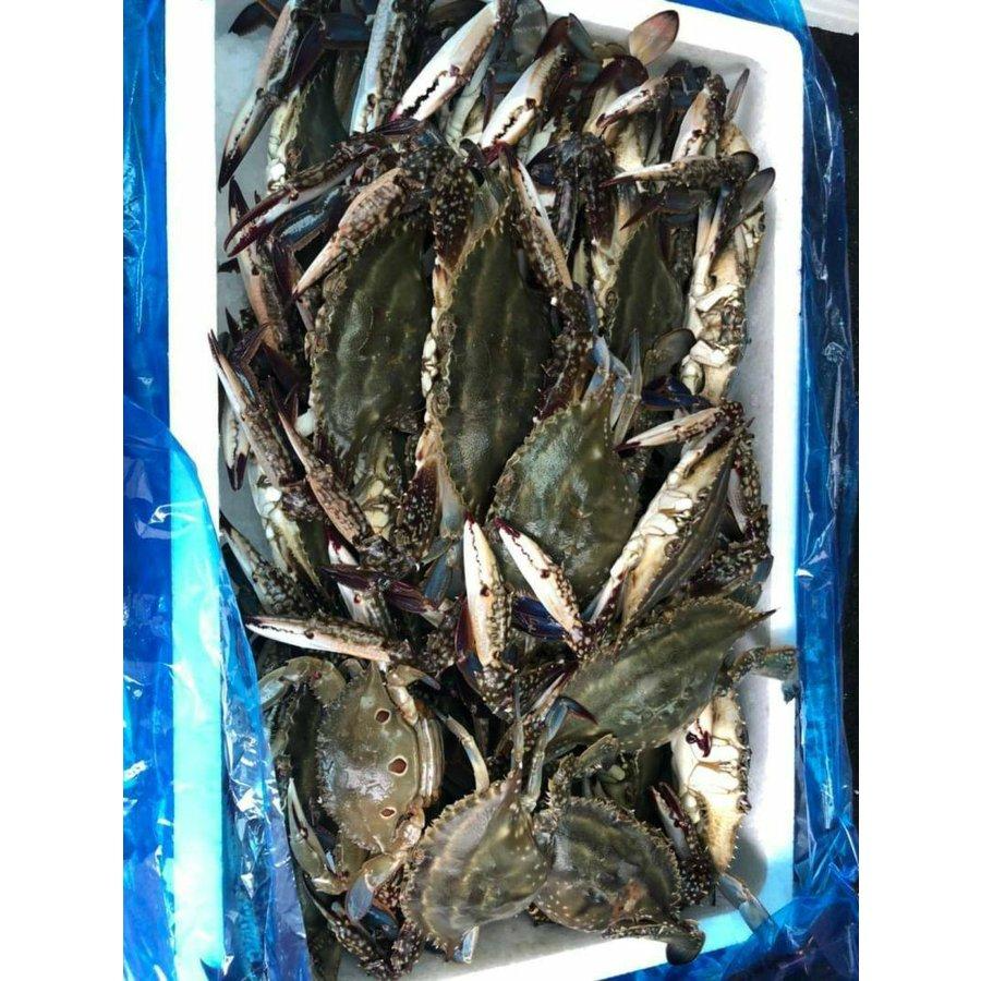 北海道 函館噴火湾産 ワタリガニの甲羅盛り
