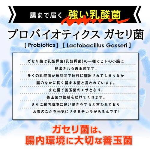 ガセリ菌プレミアム ブラック 約3ヶ月分 90粒ガセリ菌 活性炭 炭 チャコール 善玉菌 乳酸菌 腸活 菌活 炭活 サプリメント 大容量 お徳用 健康 美容 RoyalBS 日本製