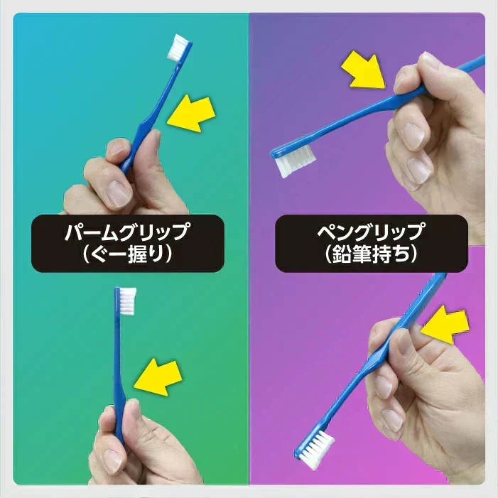 歯科専用歯ブラシ Gupita グピタ (毛のかたさ：Mふつう) 10本セット ／ 理想の歯ブラシ 全5色 個包装 ／ 復興支援商品【メール便送料無料】