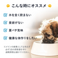 ヤギミルク 100g  脱脂粉乳 無添加  ゴートミルク (MADPROTEIN) マッドプロテイン