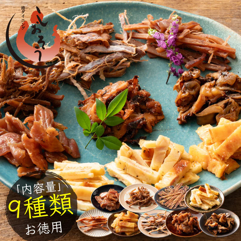 おつまみセット 9種 いか チーズ あたりめ 鶏はらみ 厳選 おつまみ 珍味 酒の肴 母の日 プレゼント ギフト  母の日思いの 健康 実用的 父の日 子供 孫 ※ポスト投函商品の発送は1～2週間前後になります