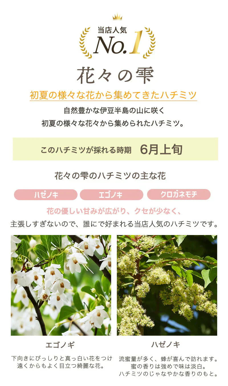 国産 天然ハチミツ　花々の雫 パウチタイプ 90g 非加熱 はちみつ 蜂蜜 ギフト 瓶詰 国産蜂蜜