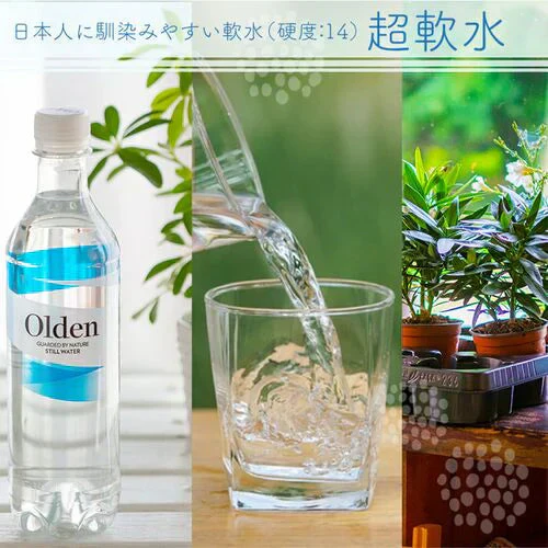 北欧ノルウェーの天然水オルデン 500ml×24本 / ミネラルウォーター Olden 鉱泉水 軟水 送料無料