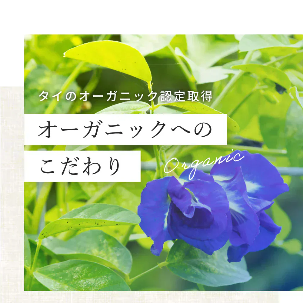 Kaorino オーガニック バタフライピー 完全無農薬茶葉使用 50g 賞味期限：2024年10月3日 カウシェ限定 | オーガライフ