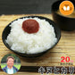 米 三重県伊賀産 キヌヒカリ 玄米 20kg ヒラキファーム 令和5年産