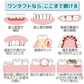 Ci PRO ワンタフトブラシ ラージヘッド Mふつう 10本セット【メール便送料無料】