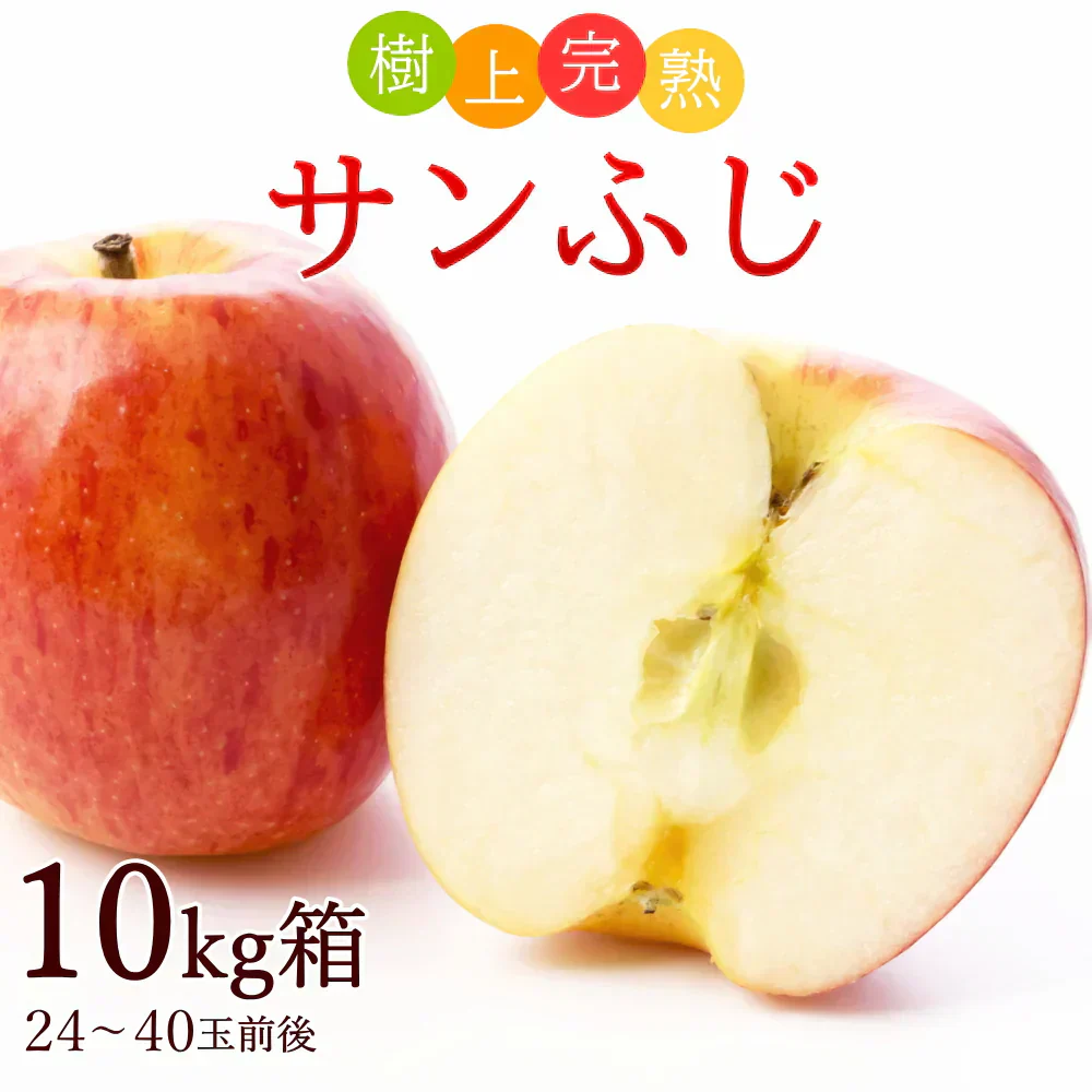 【12月上旬-下旬頃ご注文受付順次】サンふじ　りんご　約10kg箱　24-40玉前後　樹上完熟りんごを産地直送