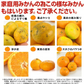 【レビュー悪】有田みかん 10kg 和歌山産 ご家庭用