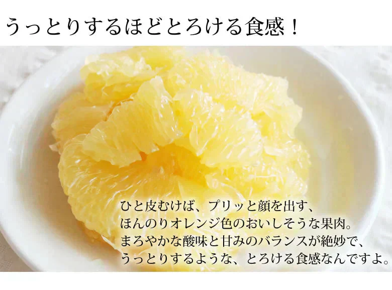 河内晩柑 みかん 送料無料 訳あり 5kg 箱込 (内容量4kg+不良果補償分500g)  S～3L お取り寄せ 和製グレープフルーツ 晩柑 熊本県産 美生柑 フルーツ