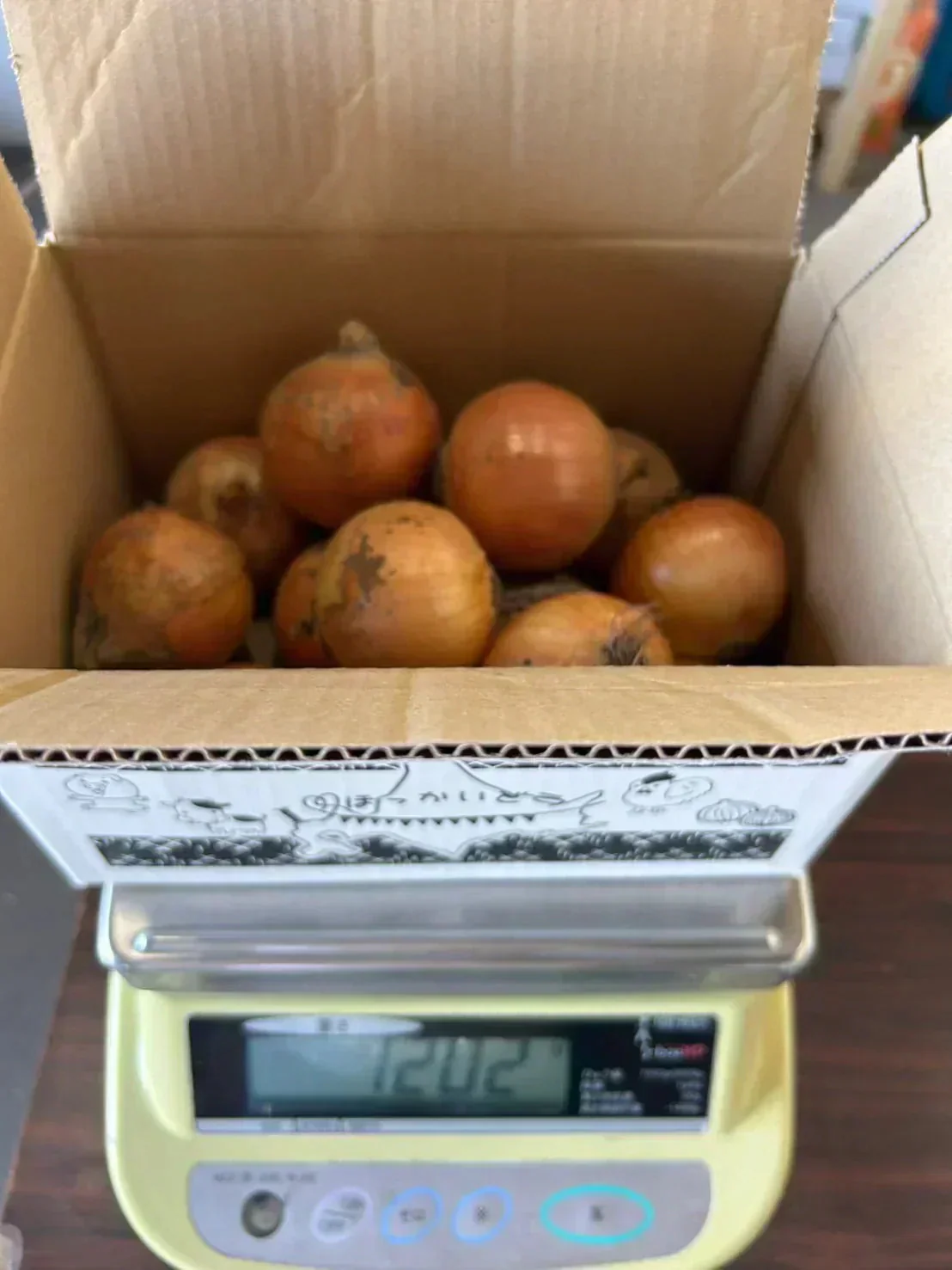 【配送エリア限定※北海道〜関西配送可能】タマネギ 1.2kg 小玉 玉葱 玉ねぎ 北海道産【カウシェファーム収穫対象商品】