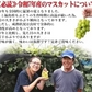 福島県産 秀品 シャインマスカット 大房２房セット