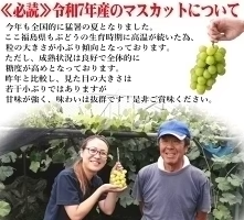 福島県産 秀品 シャインマスカット 大房２房セット