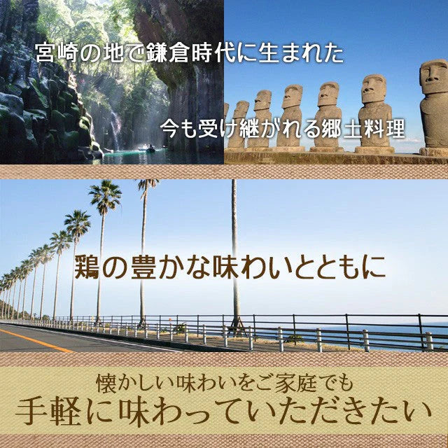 【宮崎名物】冷や汁３パックセット(国内製造）