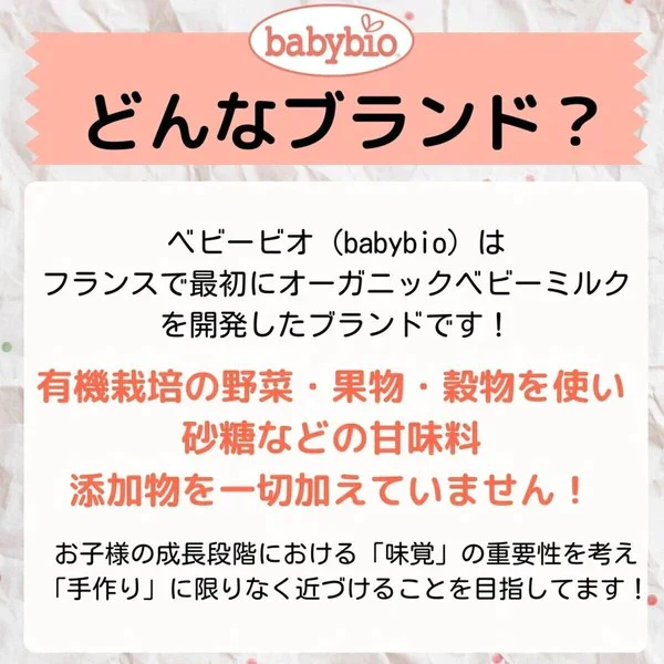 Babybio 有機ベビースムージー（キウイ・マンゴー）×6個 6か月頃から 90gでたっぷり！