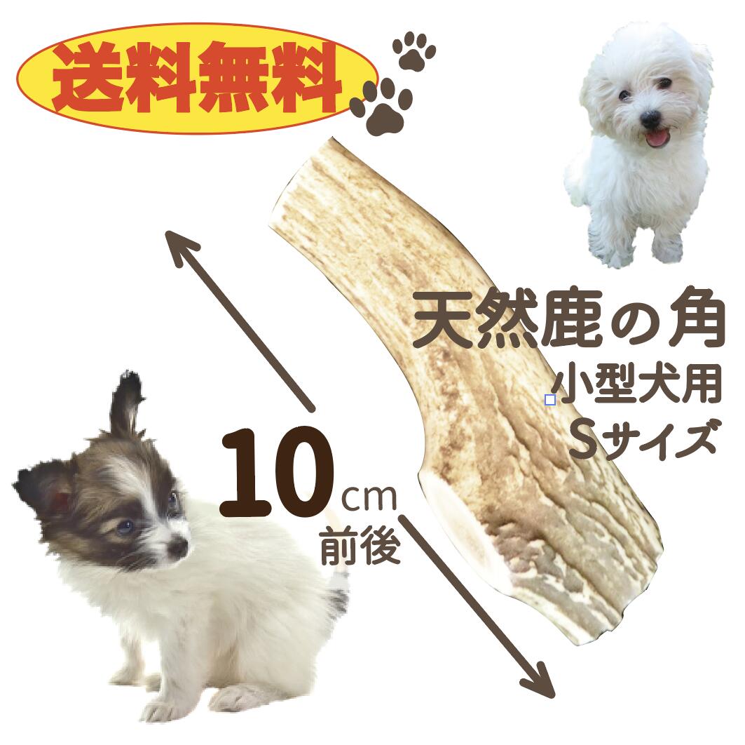 【送料無料】鹿角　Sサイズ　1本　ペット　歯石　口臭　ストレス解消　おもちゃ　お留守番　しか　ツノ