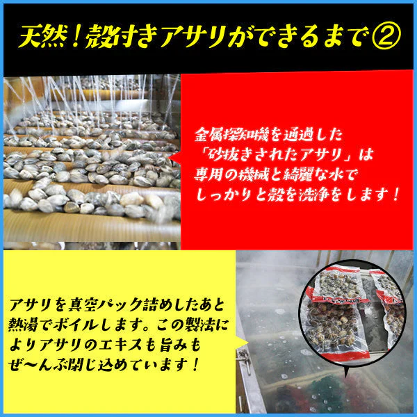 天然 殻付きアサリの旨味ボイル どっさり1kg 冷凍食品 あさり 貝 かい カイ 浅利