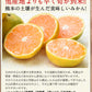熊本 みかん 訳あり 9kg 熊本県産 熊本 小玉 不選別 みかん 家庭用 送料無料 早生 ミカン フルーツ お取り寄せ 柑橘 フルーツ 果物  《10月中旬-11月中旬に出荷予定》