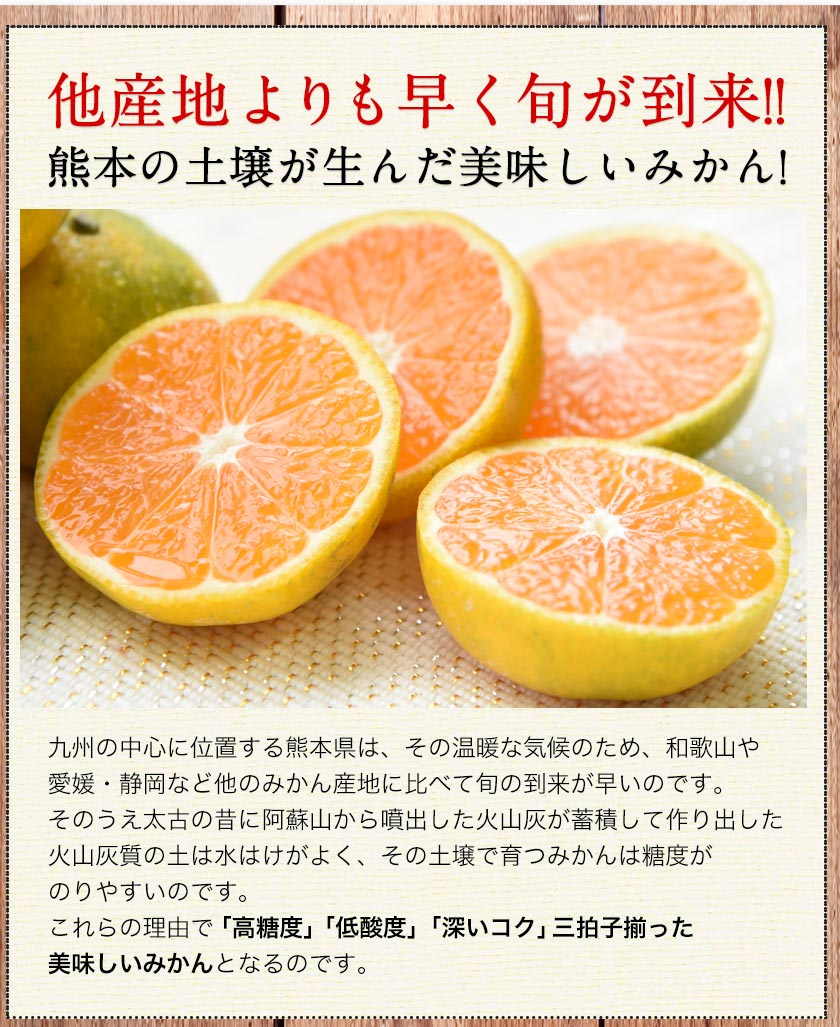 熊本 みかん 訳あり 9kg 熊本県産 熊本 小玉 不選別 みかん 家庭用 送料無料 早生 ミカン フルーツ お取り寄せ 柑橘 フルーツ 果物  《10月中旬-11月中旬に出荷予定》