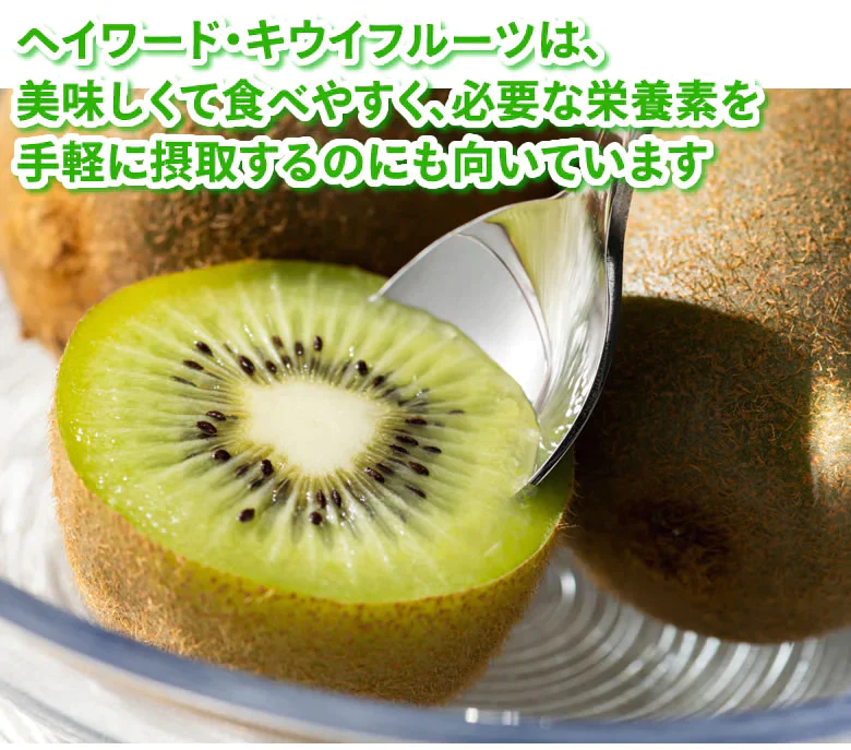 キウイフルーツ ヘイワード 送料無料 約1kg 7～14玉入り 福岡県産 グリーンキウイ フルーツ