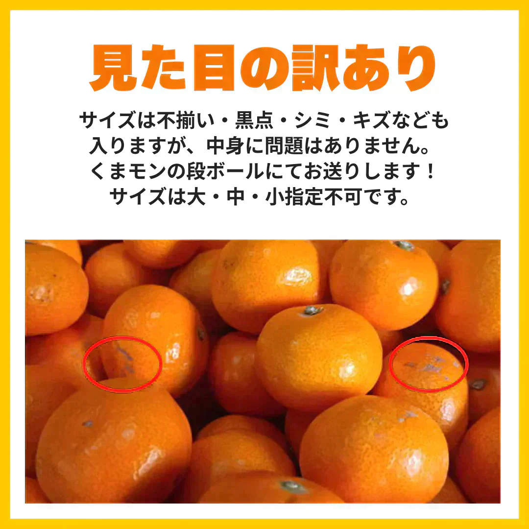 熊本産 みかん 訳あり 約1.5kg ご家庭用 60サイズ　送料無料【ご新規さん限定商品】