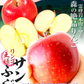 りんご 3kg ご家庭用 サンふじ 訳あり 青森産 常温便 送料無料 食品 【12月中旬より出荷予定】