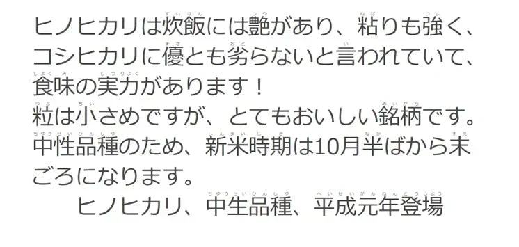 令和7年産 無洗米 10kg 送料無料 コメ 九州産 福岡ヒノヒカリ 5kg×2個セット ひのひかり 飲食店御用達