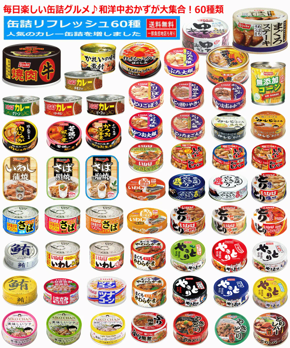【缶詰め】リニューアル 非常食 保存食に 缶詰 60缶 6大メーカー 水産 畜産 惣菜 カレー ポチッで缶詰居酒屋! 毎日楽しい缶詰グルメ 和洋中おかずが大集合!関東圏送料無料