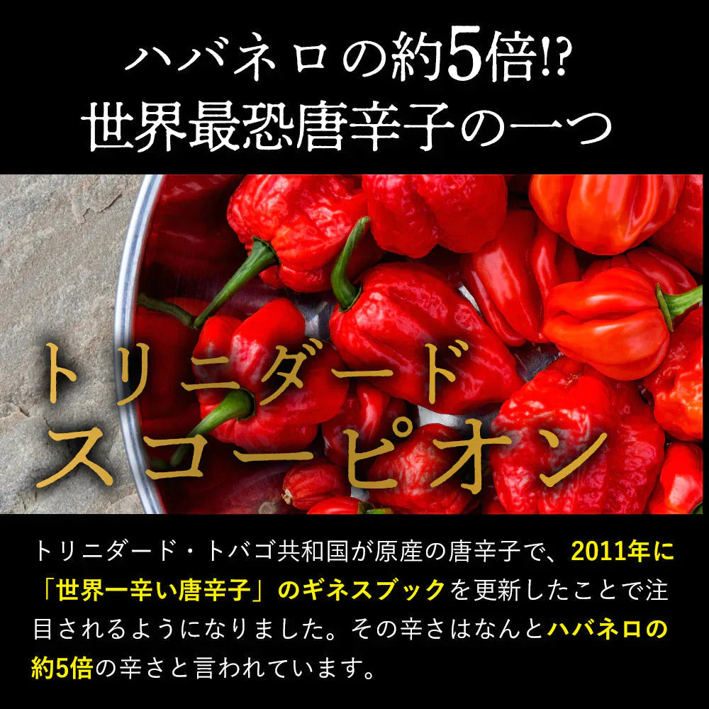 罰ゲーム用デスソース 3本セット 送料無料 調味料 ソース 激辛 唐辛子 スコーピオン デスソース