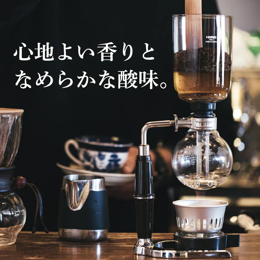 コーヒー専門店 レギュラーコーヒー バイオレットラベル 120g×3袋【360g】【豆】