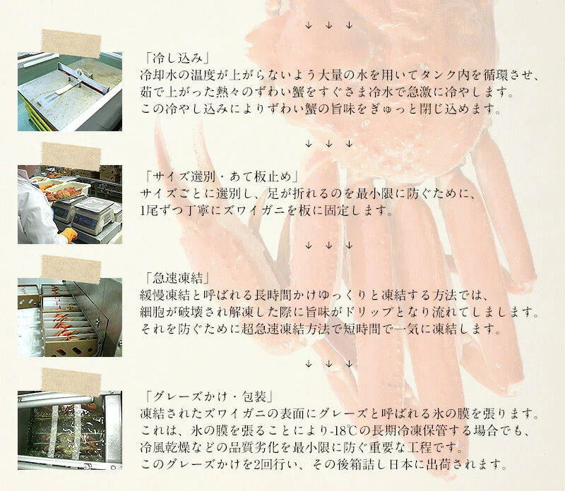 ずわい蟹 姿 3kg 600g前後×5尾 カニ かに 海鮮 ズワイガニ ずわいがに お取り寄せ 美味しい 蟹 ずわい ズワイ 蟹鍋 魚介 お取り寄せグルメ まとめ買い 食べ物 食品 ［送料無料］ 母の日 プレゼント ギフト  母の日思いの 健康 実用的 父の日 子供 孫