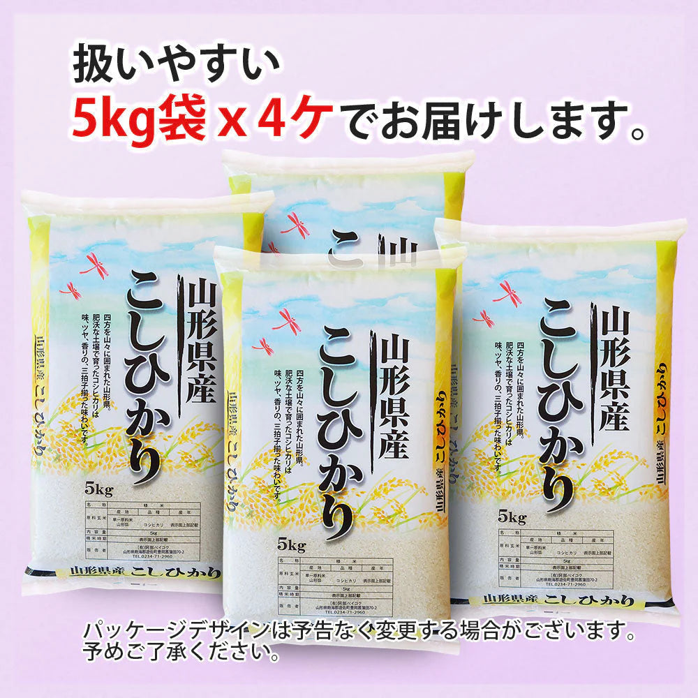 【節減対象農薬・化学肥料：当地比5割減】 コシヒカリ 無洗米 20kg (5kg×4袋) 山形県産 令和6年産 送料無料 米 20キロ こめ コメ お米 精米 新米 お米20kg 減農薬 コシヒカリ20kg コシヒカリ20キロ こしひかり20kg こしひかり20キロ
